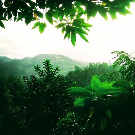 Апартаменты Green Jungle " Cool View" Элла Экстерьер фото