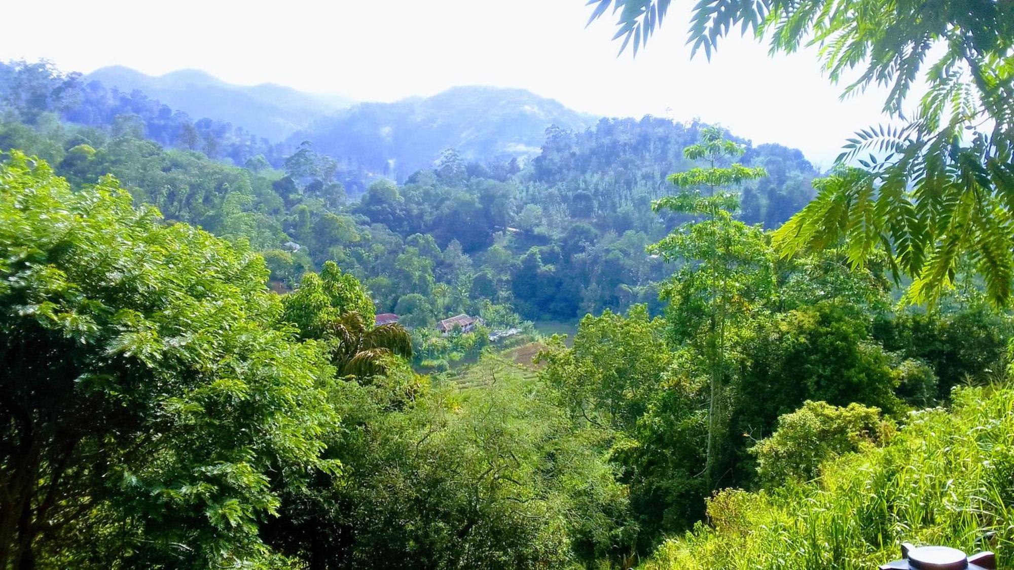 Апартаменты Green Jungle " Cool View" Элла Экстерьер фото