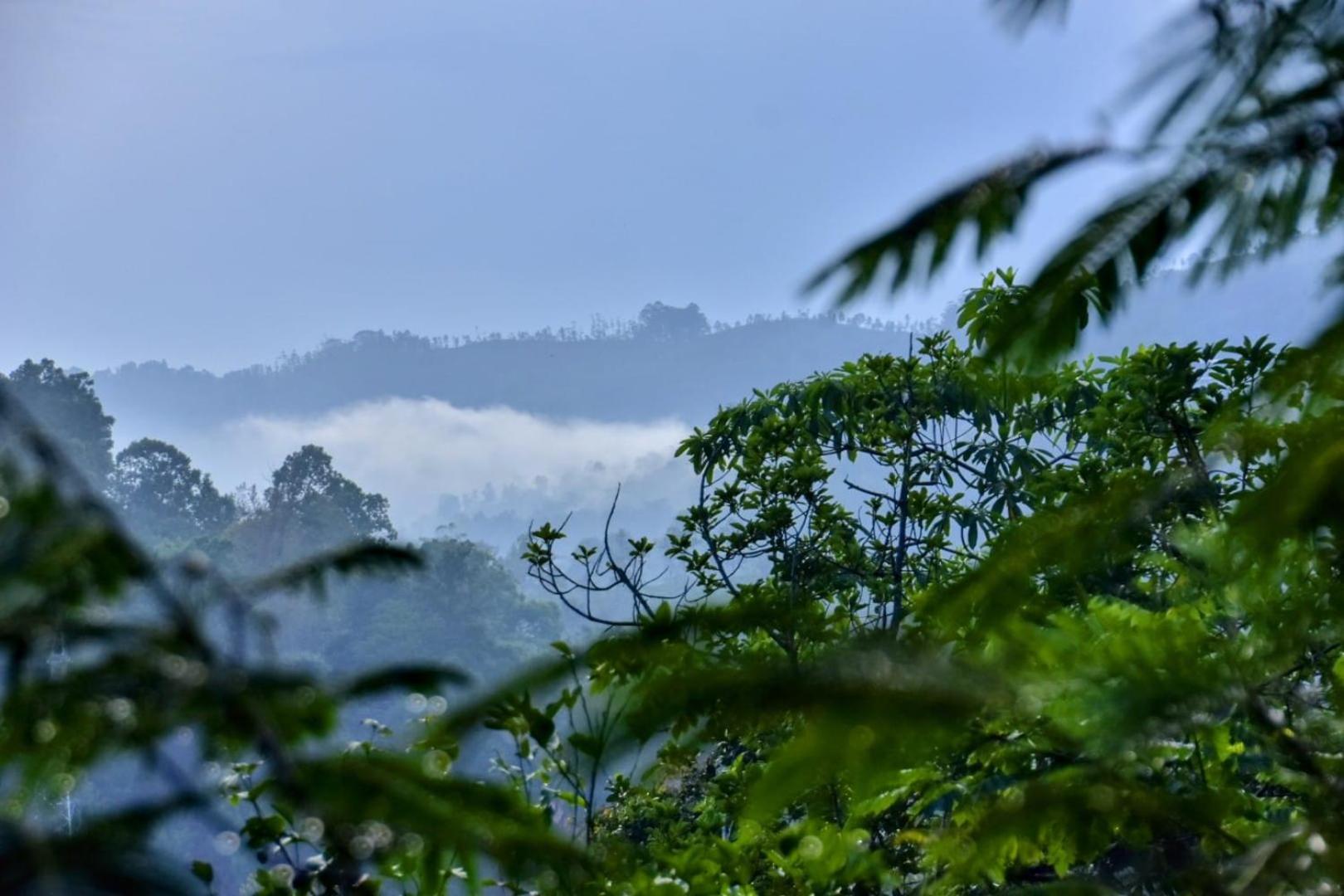 Апартаменты Green Jungle " Cool View" Элла Экстерьер фото