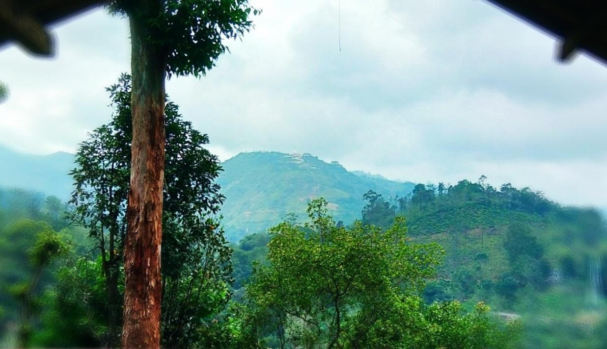 Апартаменты Green Jungle " Cool View" Элла Экстерьер фото