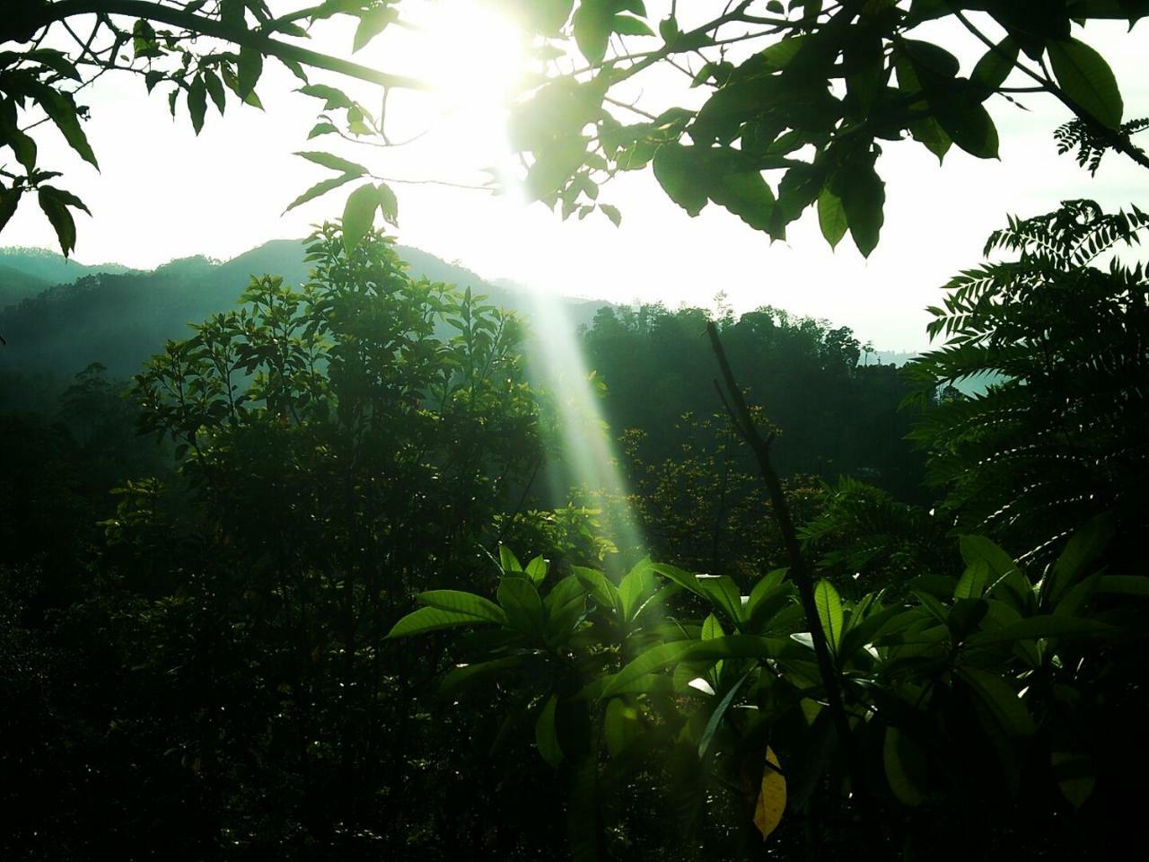 Апартаменты Green Jungle " Cool View" Элла Экстерьер фото