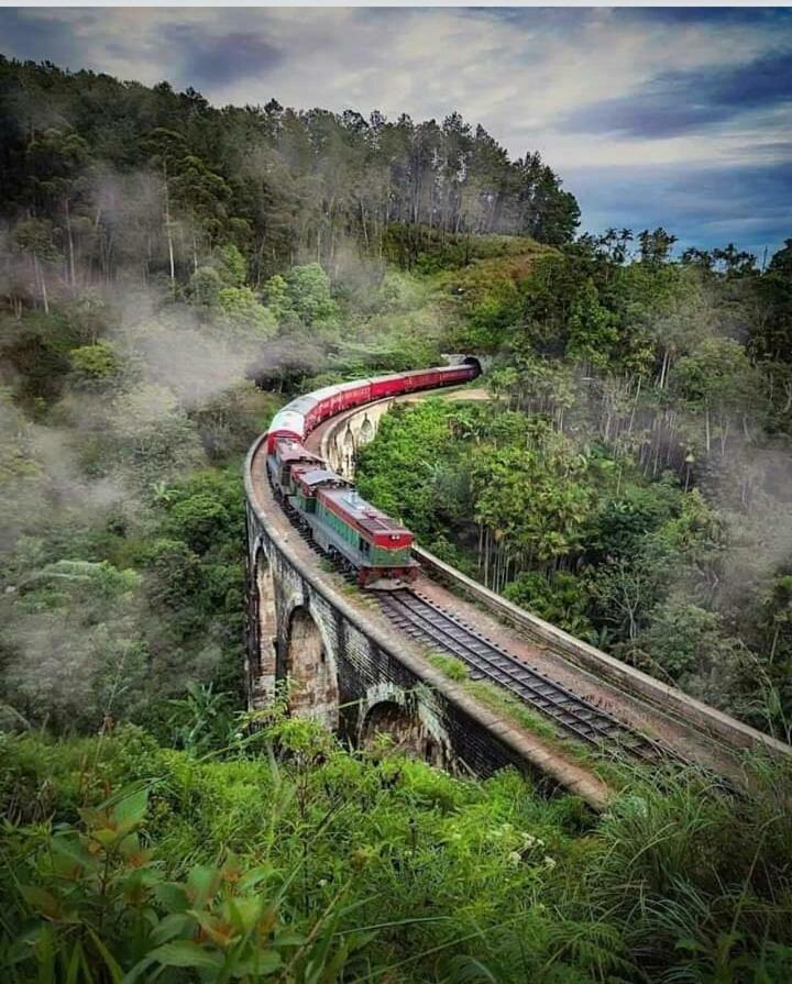 Апартаменты Green Jungle " Cool View" Элла Экстерьер фото