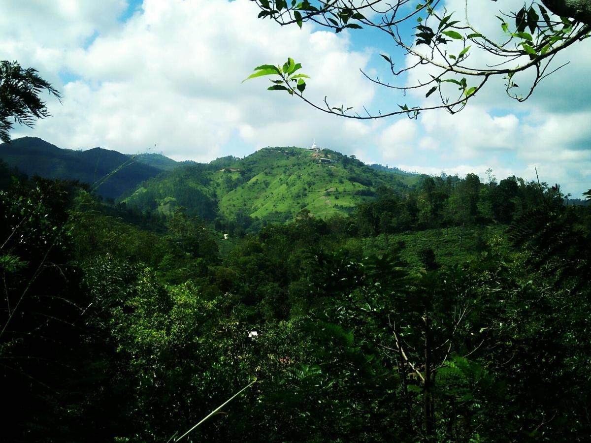 Апартаменты Green Jungle " Cool View" Элла Экстерьер фото